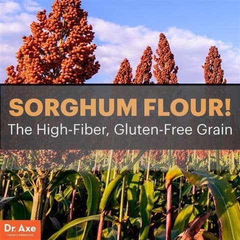 O sorgo, farinha - Dr. Machado
