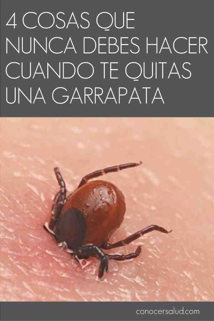como quitar garrapata pinterest